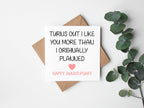 Liked You More Than I Planned Anniversary Greeting Card - The Gifted Panda