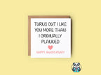 Liked You More Than I Planned Anniversary Greeting Card - The Gifted Panda