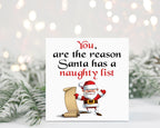You're The Reason Santa Has A Naughty List - Christmas Card - The Gifted Panda