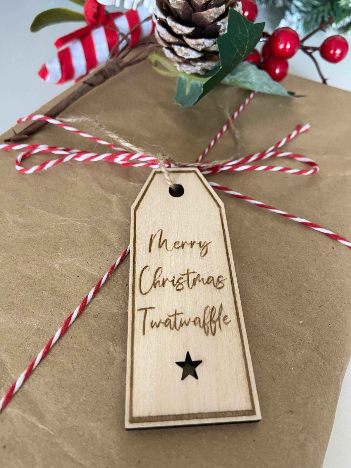4 Insult Reusable Wooden Gift Tags - The Gifted Panda