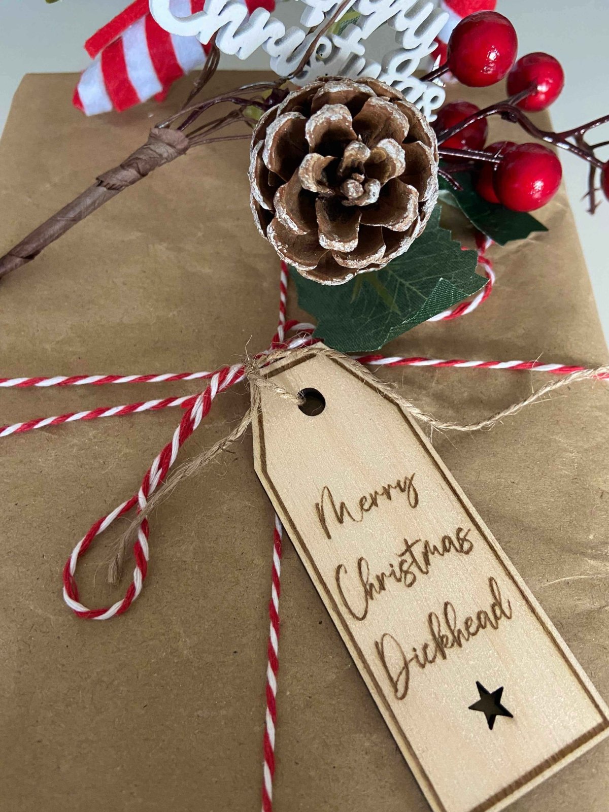 4 Insult Reusable Wooden Gift Tags Secondary image