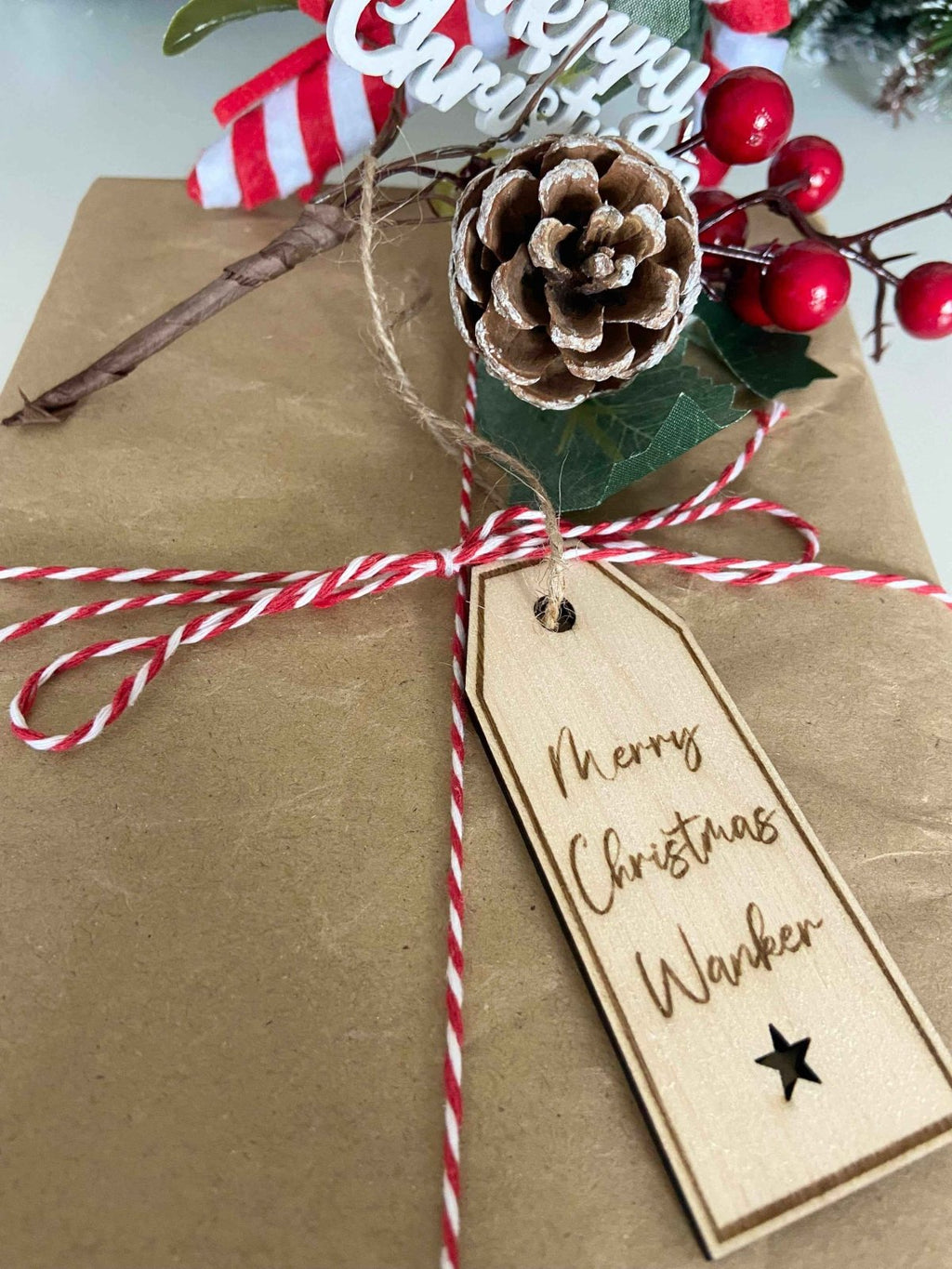 4 Insult Reusable Wooden Gift Tags - The Gifted Panda
