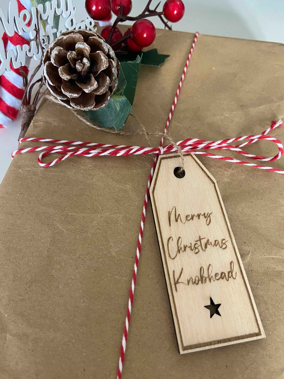 4 Insult Reusable Wooden Gift Tags - The Gifted Panda