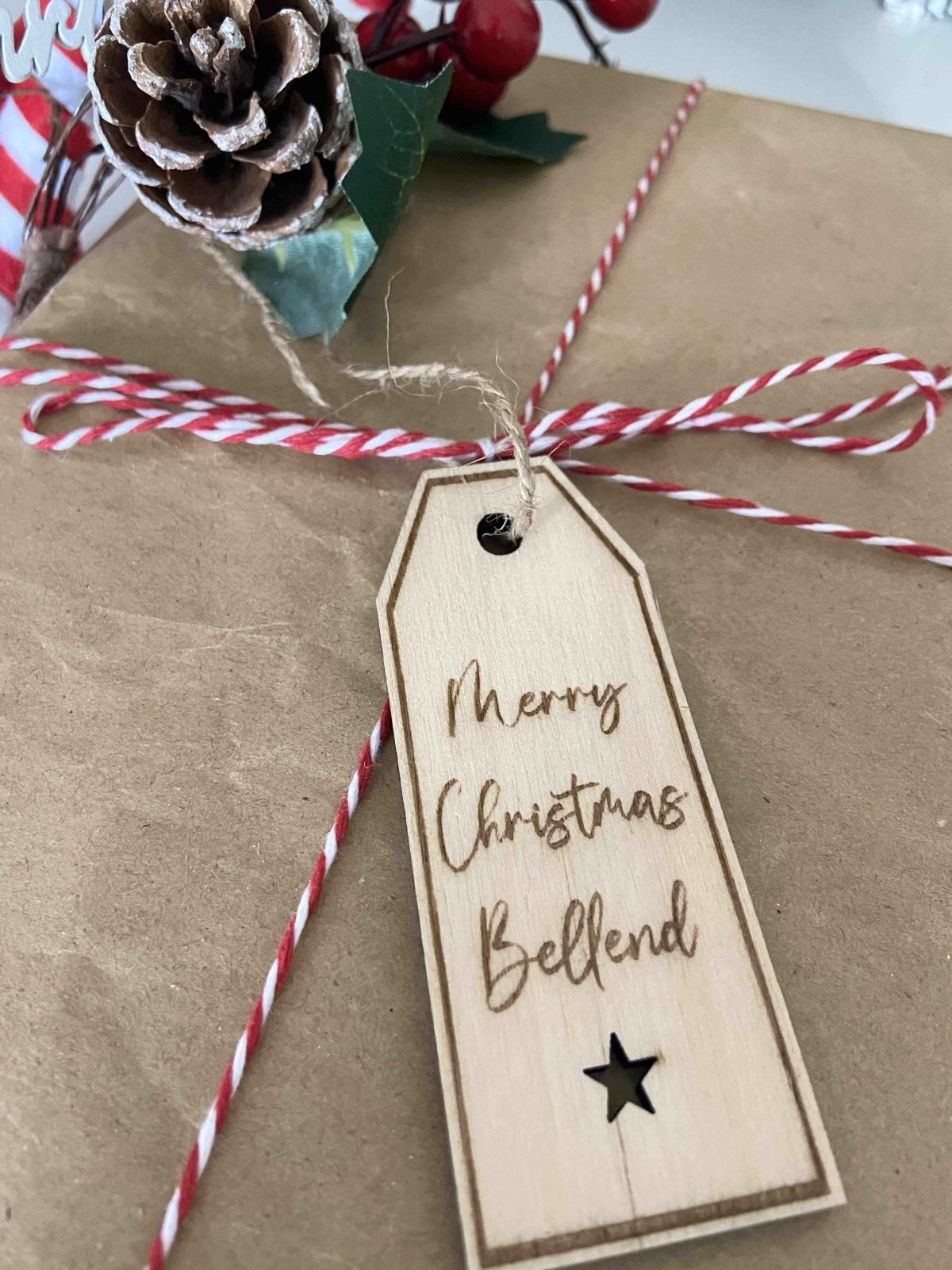 8 Insult Reusable Wooden Gift Tags - The Gifted Panda Main image