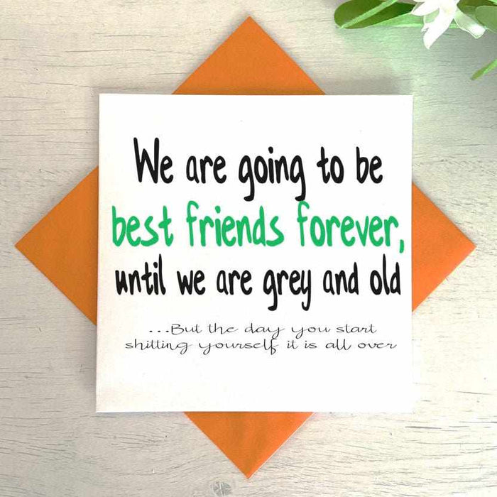 Best Friends Until We Are Old Card Greetings Card The Gifted Panda
