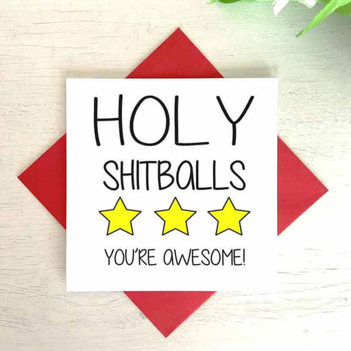 Holy Shitballs You're Awesome Greetings Card Greetings Card The Gifted Panda