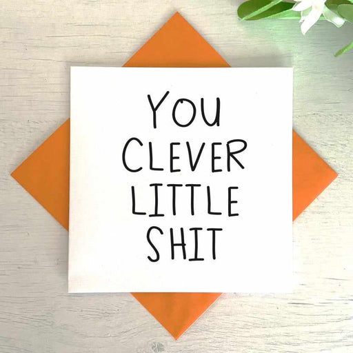 You Clever Little Shit Greetings Card Greetings Card The Gifted Panda