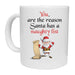 You Are The Reason Santa Has A Naughty List Mug