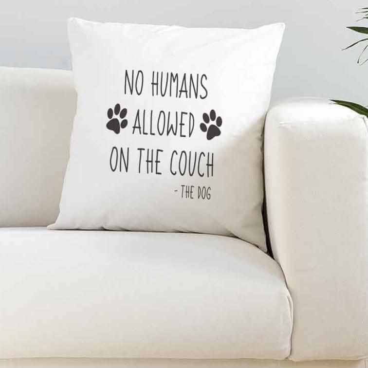 No Humans Allowed On The Couch Dog Silky Cushion Cover - The Gifted Panda Main image